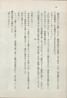 異界の守護神 魔皇騎ディ・オ－ス, 日本語