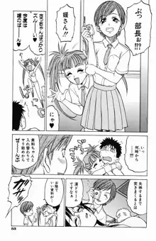 とりぷる さんしゃいん, 日本語