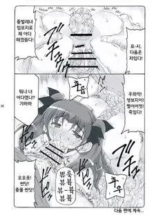 Kotori 11, 한국어