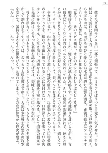 エンジェルシードプラス2　──ラピス絶体絶命──, 日本語