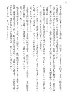 エンジェルシードプラス３　―小牧小夜奮戦記―, 日本語