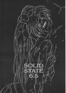 SOLID STATE 6.5, 日本語