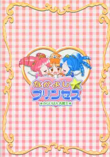 Nakayoshi Princess | Friendship Princess, 中文