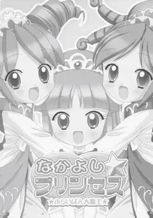 Nakayoshi Princess | Friendship Princess, 中文