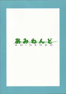 キリシマとコンゴウが鎮守府に着任しました, 日本語