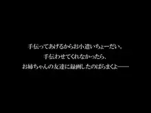 ヌコ生放送2nd ～変態生主あみちゃんの妹は、姉よりヤリ手のヤリマンビッチでした～, 日本語