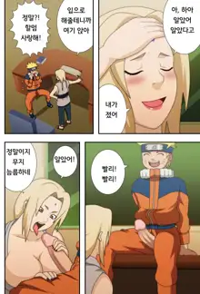 Kyonyuu no Ninja Chichikage (decensored), 한국어