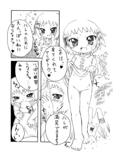 都会の娘田舎の娘, 日本語