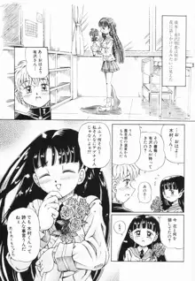 少女の秘蜜, 日本語