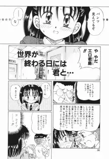 少女の秘蜜, 日本語