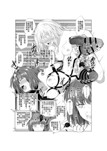 Akuma no Shoumei, 中文