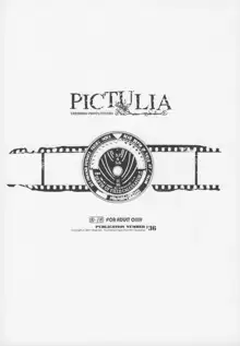 pictulia + 4Pリーフレット, 日本語