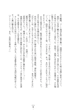 キュアリープリンセス 正義の心を悪堕ち洗脳, 日本語