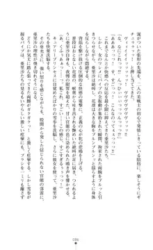 キュアリープリンセス 正義の心を悪堕ち洗脳, 日本語