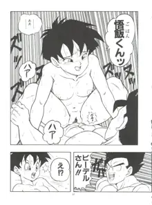 ドラゴンボールH 巻一・二 再版, 日本語