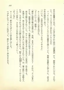 水妖の剣 聖魔導師と美姫の王国, 日本語