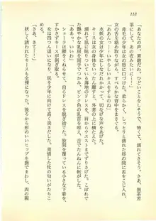 水妖の剣 聖魔導師と美姫の王国, 日本語