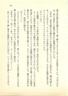 水妖の剣 聖魔導師と美姫の王国, 日本語