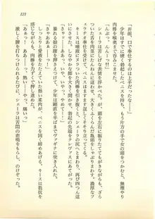 水妖の剣 聖魔導師と美姫の王国, 日本語