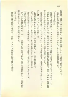 水妖の剣 聖魔導師と美姫の王国, 日本語