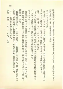 水妖の剣 聖魔導師と美姫の王国, 日本語