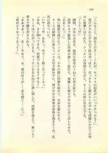 水妖の剣 聖魔導師と美姫の王国, 日本語