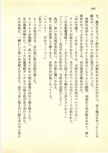 水妖の剣 聖魔導師と美姫の王国, 日本語