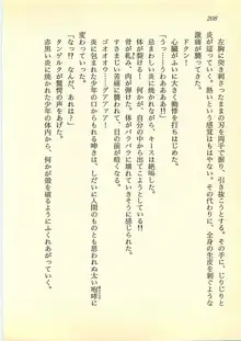 水妖の剣 聖魔導師と美姫の王国, 日本語