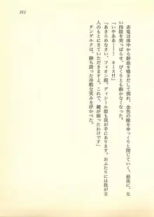 水妖の剣 聖魔導師と美姫の王国, 日本語