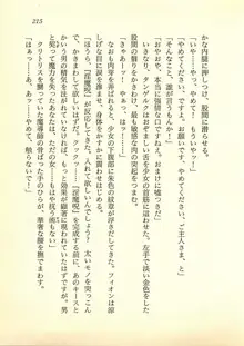 水妖の剣 聖魔導師と美姫の王国, 日本語