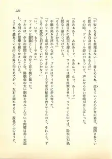 水妖の剣 聖魔導師と美姫の王国, 日本語