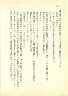 水妖の剣 聖魔導師と美姫の王国, 日本語