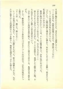 水妖の剣 聖魔導師と美姫の王国, 日本語