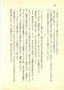 水妖の剣 聖魔導師と美姫の王国, 日本語