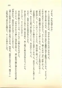 水妖の剣 聖魔導師と美姫の王国, 日本語