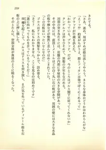 水妖の剣 聖魔導師と美姫の王国, 日本語