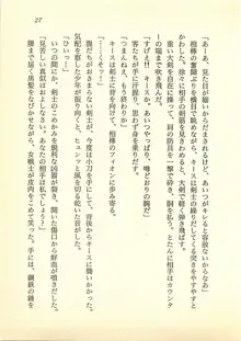 水妖の剣 聖魔導師と美姫の王国, 日本語