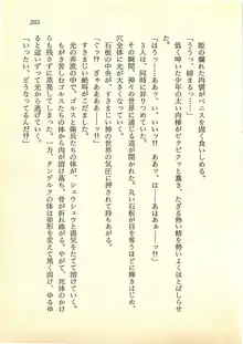 水妖の剣 聖魔導師と美姫の王国, 日本語