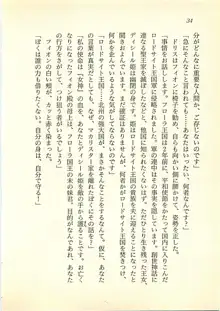 水妖の剣 聖魔導師と美姫の王国, 日本語