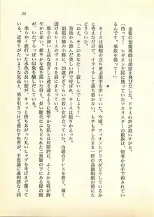 水妖の剣 聖魔導師と美姫の王国, 日本語