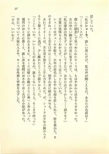 水妖の剣 聖魔導師と美姫の王国, 日本語