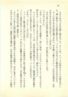 水妖の剣 聖魔導師と美姫の王国, 日本語