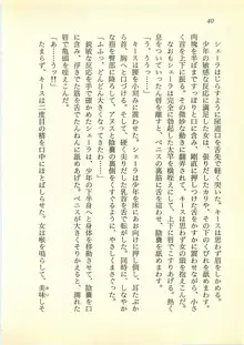 水妖の剣 聖魔導師と美姫の王国, 日本語