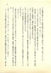 水妖の剣 聖魔導師と美姫の王国, 日本語