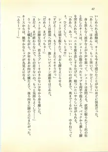 水妖の剣 聖魔導師と美姫の王国, 日本語