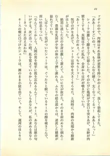 水妖の剣 聖魔導師と美姫の王国, 日本語