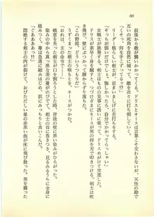 水妖の剣 聖魔導師と美姫の王国, 日本語