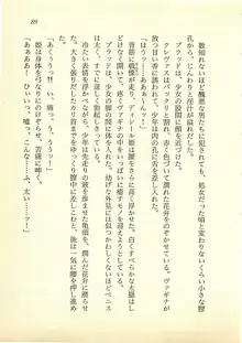 水妖の剣 聖魔導師と美姫の王国, 日本語