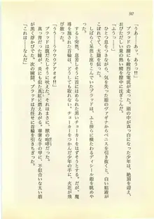 水妖の剣 聖魔導師と美姫の王国, 日本語