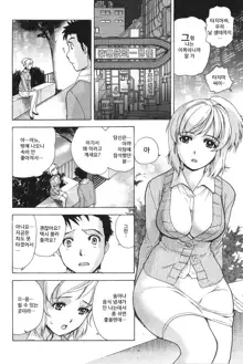 Nurse o Kanojo ni Suru Houhou - How To Go Steady With A Nurse 2, 한국어